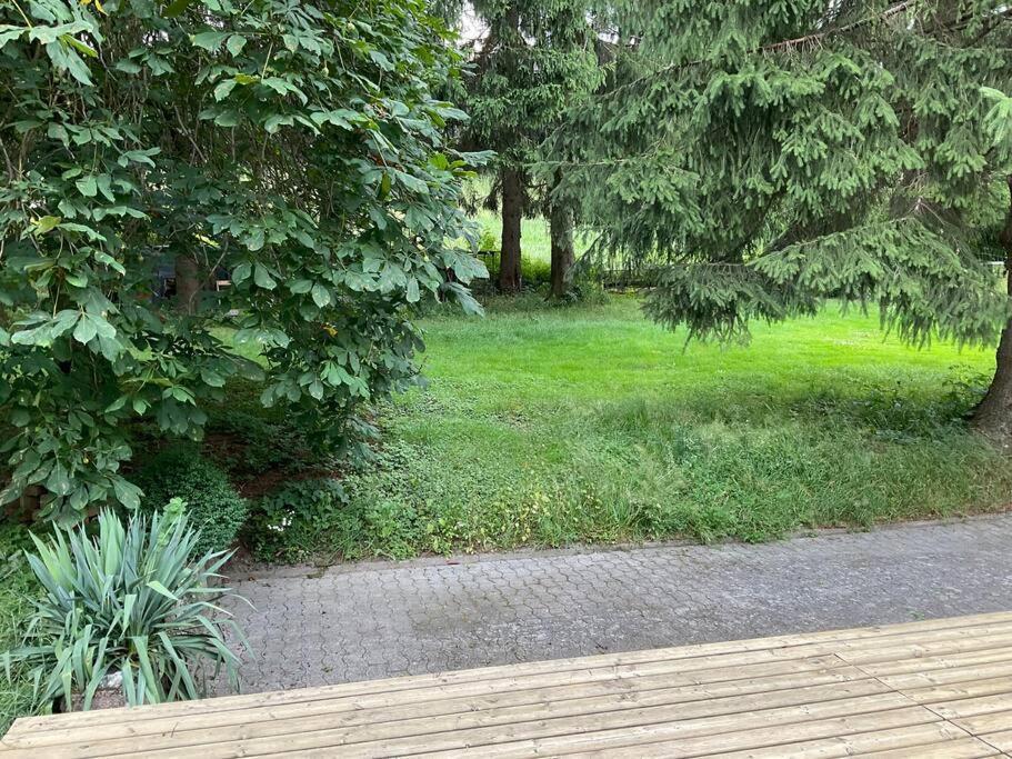 Wohnung In Idyllischem Oertchen Мешеде Екстериор снимка